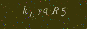 Validation image